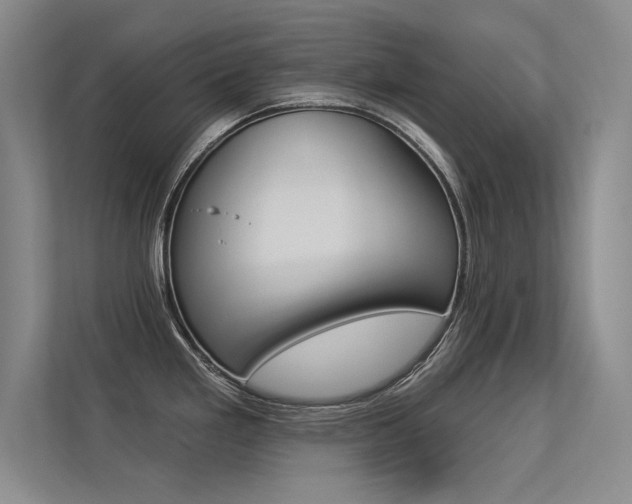 X0000113361293200909150959