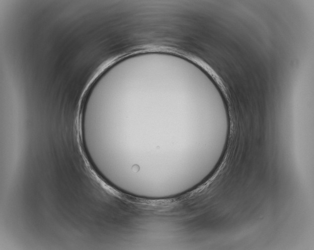 X0000113361294200909150959