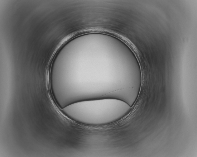 X0000113361295200909150959