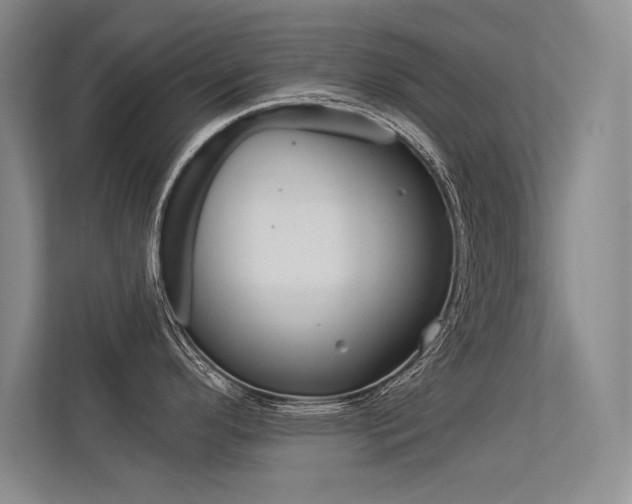 X0000113361296200909150959