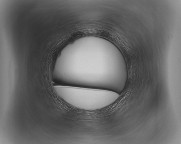 X0000113361297200909150958
