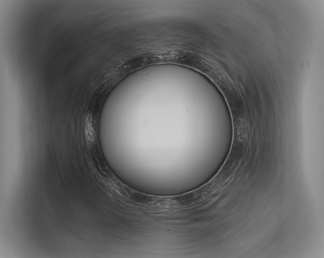 X0000113361298200909150958