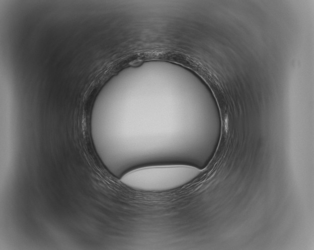 X0000113361299200909150958
