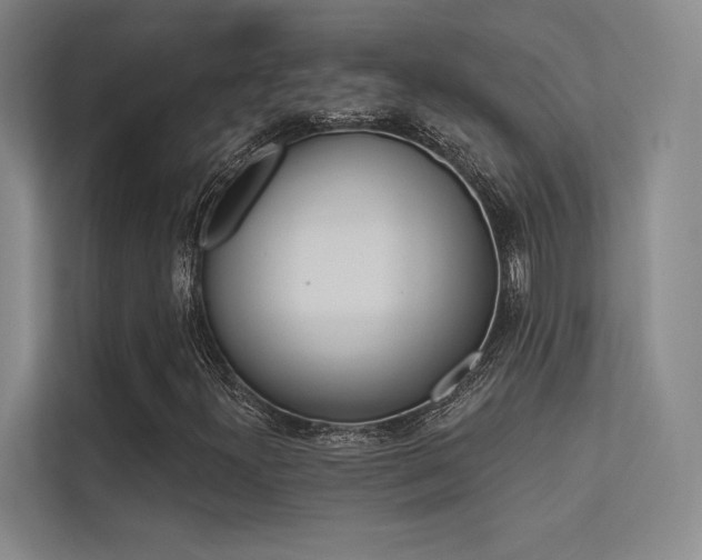 X0000113361300200909150958