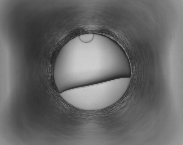 X0000113361301200909150958