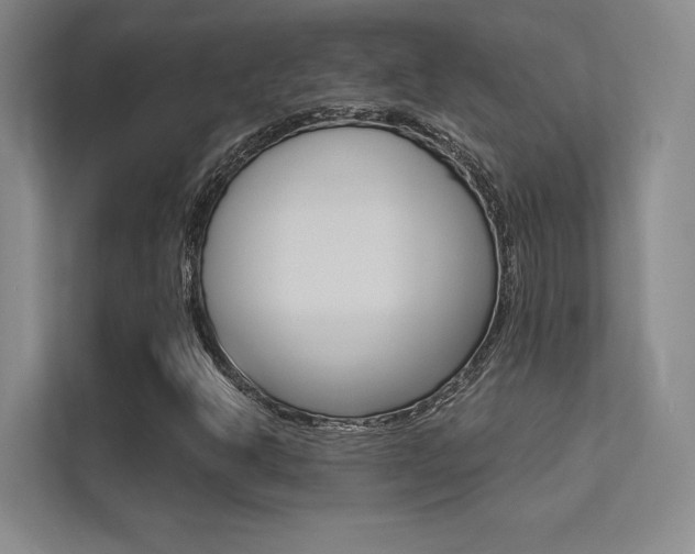 X0000113361302200909150958