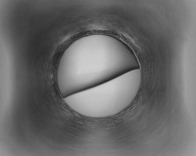 X0000113361303200909150958
