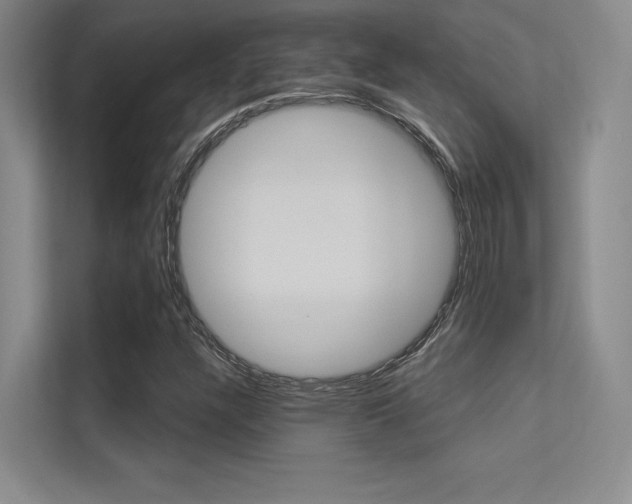 X0000113361304200909150958