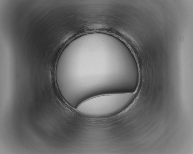 X0000113361305200909150958