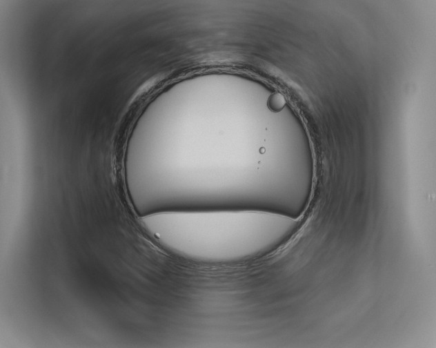 X0000113361306200909150958