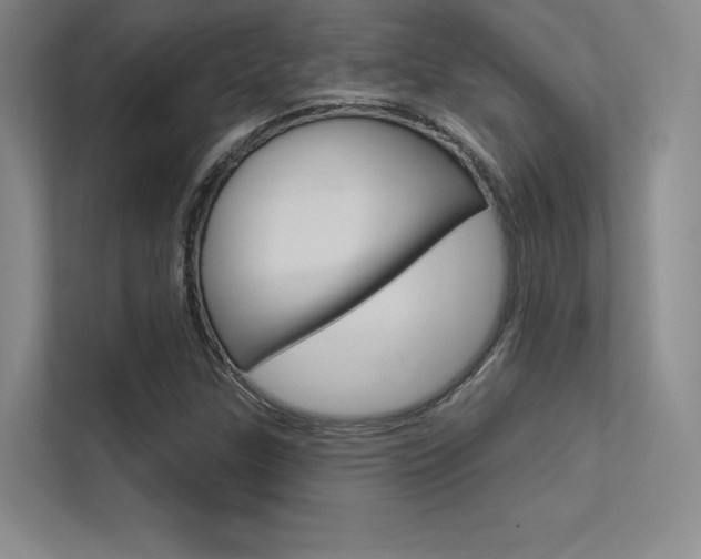 X0000113361307200909150958