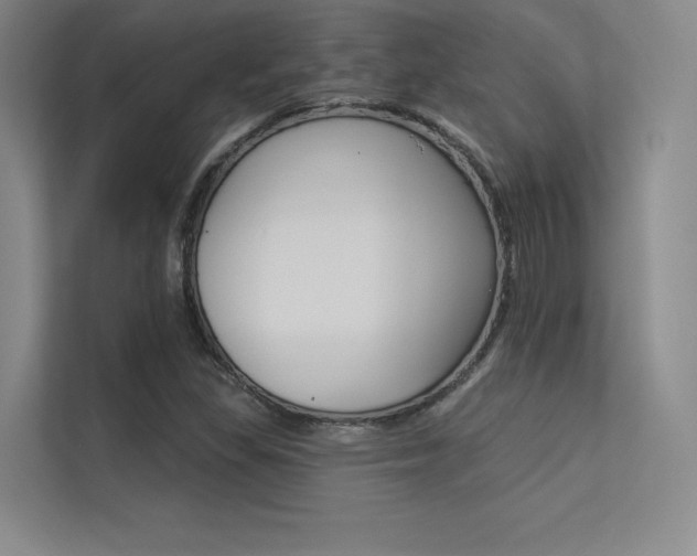 X0000113361309200909150958
