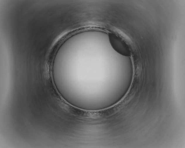 X0000113361310200909150958
