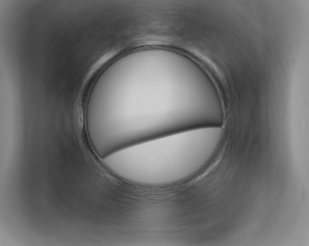 X0000113361317200909150958