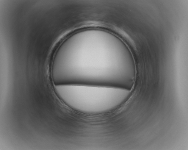 X0000113361318200909150958