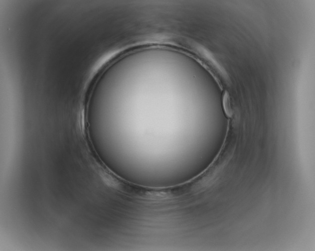 X0000113361320200909150958