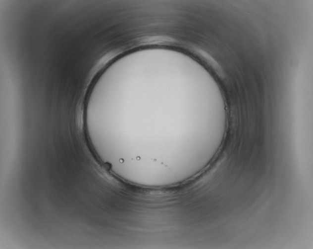 X0000113361322200909150958