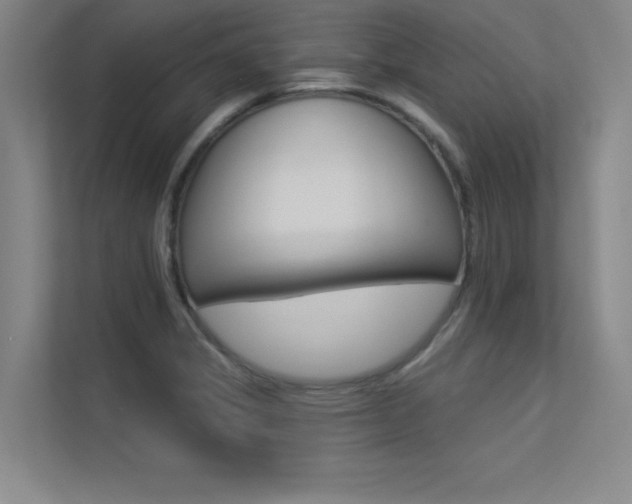 X0000113361325200909150959