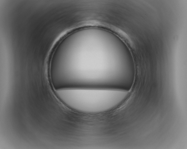 X0000113361326200909150959