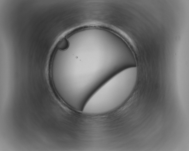 X0000113361327200909150959