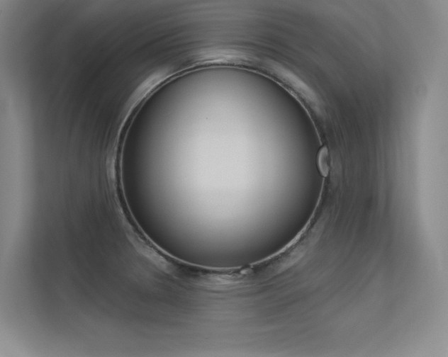 X0000113361330200909150959