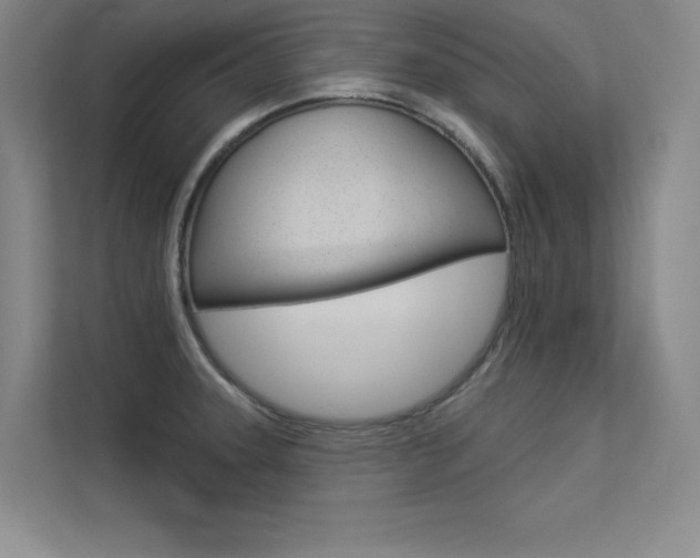 X0000113361331200909150959
