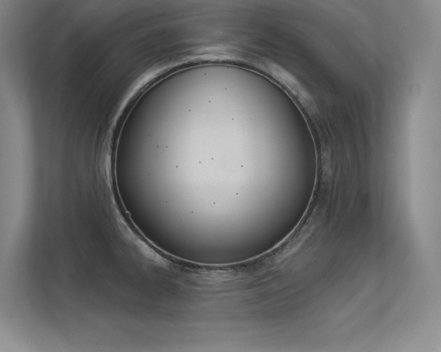 X0000113361334200909150959