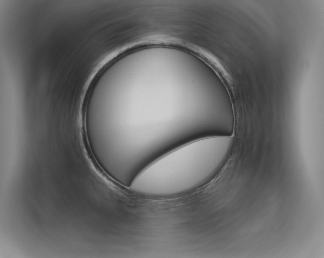 X0000113361335200909150959