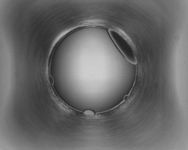 X0000113361336200909150959