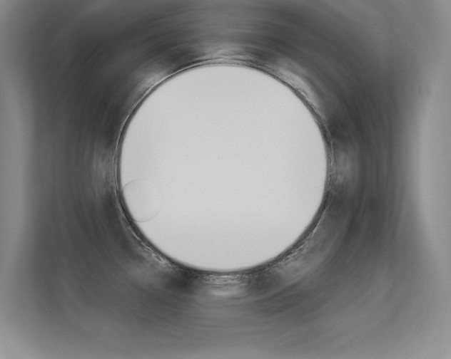 X0000113361338200909150959