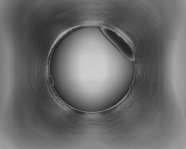 X0000113361340200909150959
