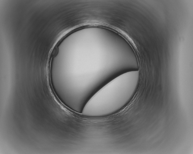 X0000113361343200909150959