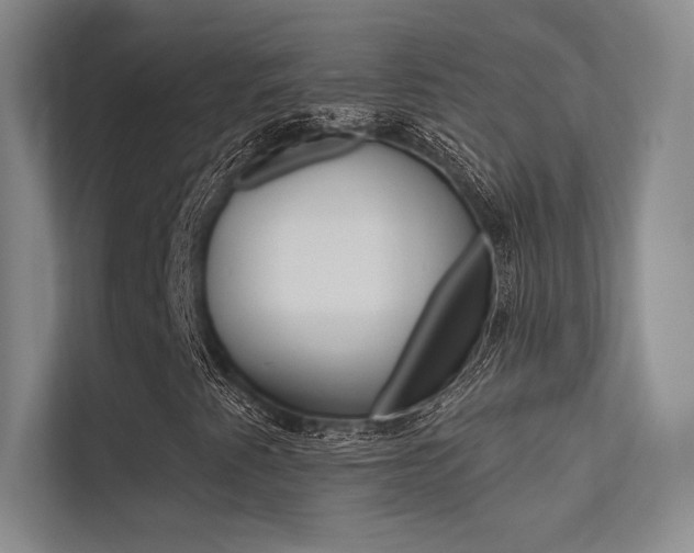 X0000113361345200909150958