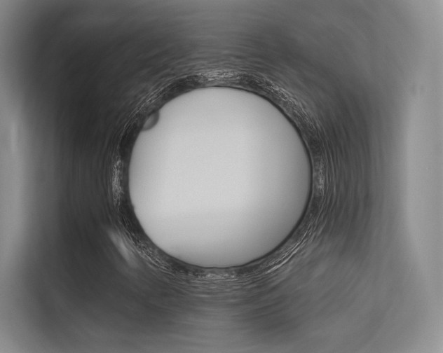 X0000113361346200909150958