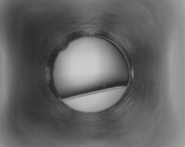 X0000113361347200909150958