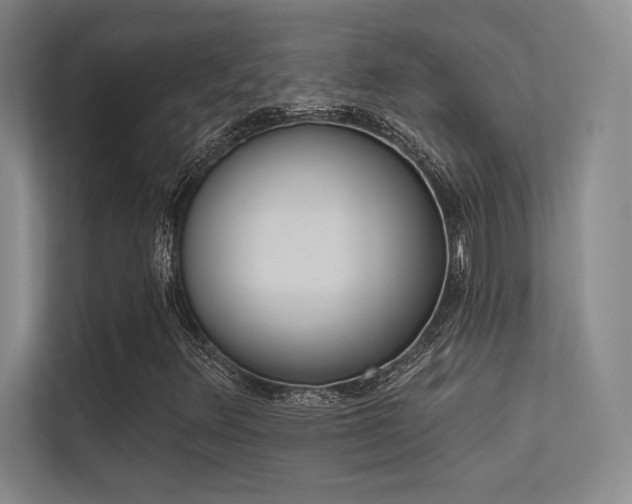 X0000113361348200909150958