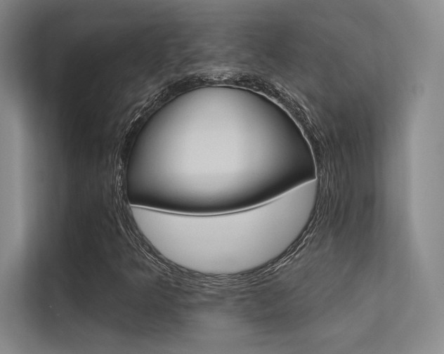 X0000113361349200909150958