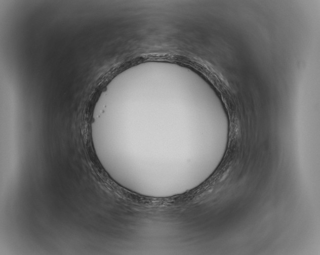 X0000113361350200909150958