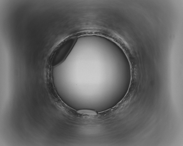 X0000113361352200909150958