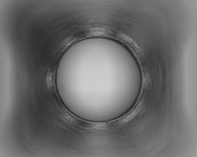 X0000113361353200909150958