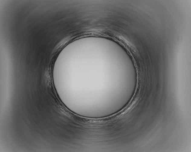 X0000113361354200909150958