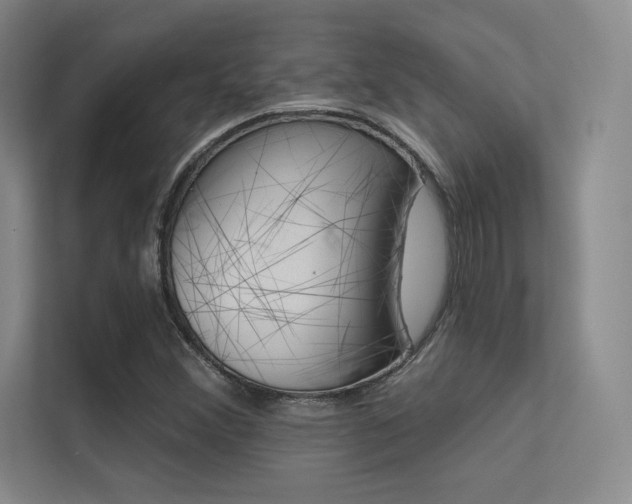 X0000113361356200909150958