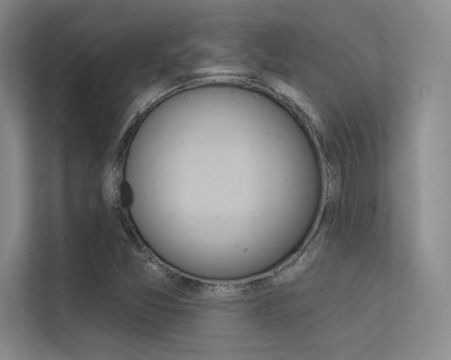 X0000113361357200909150958