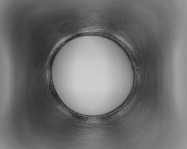X0000113361358200909150958