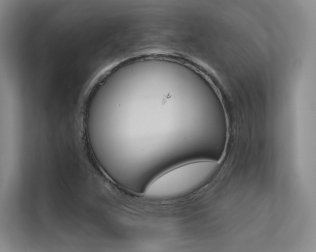 X0000113361359200909150958