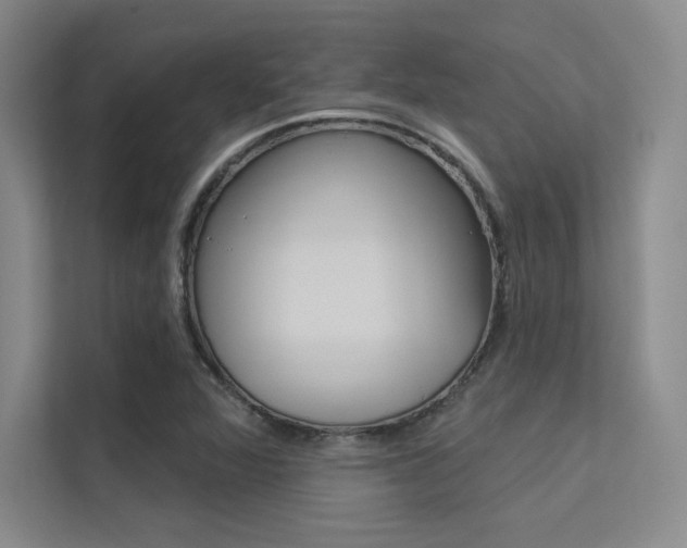 X0000113361360200909150958