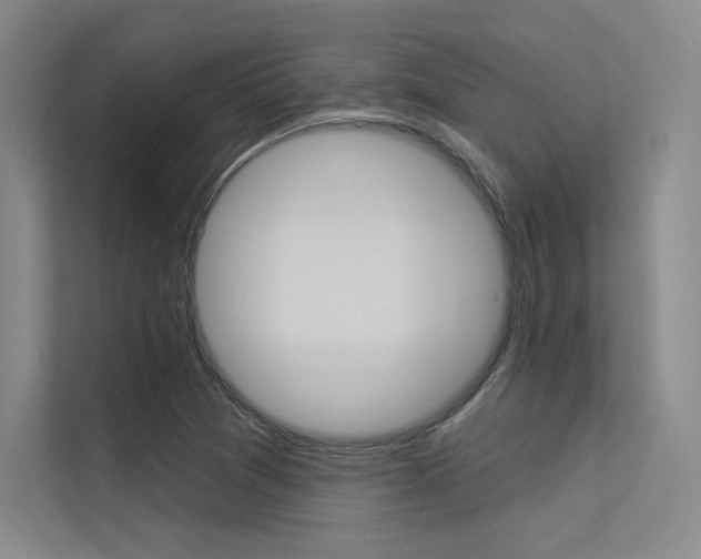 X0000113361361200909150958