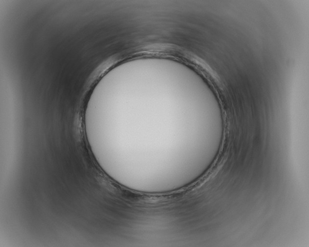 X0000113361362200909150958