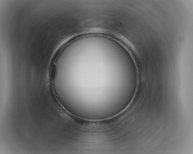 X0000113361364200909150958
