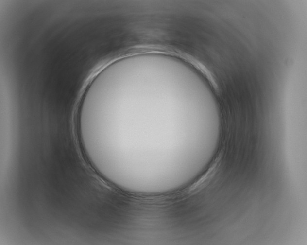 X0000113361365200909150958